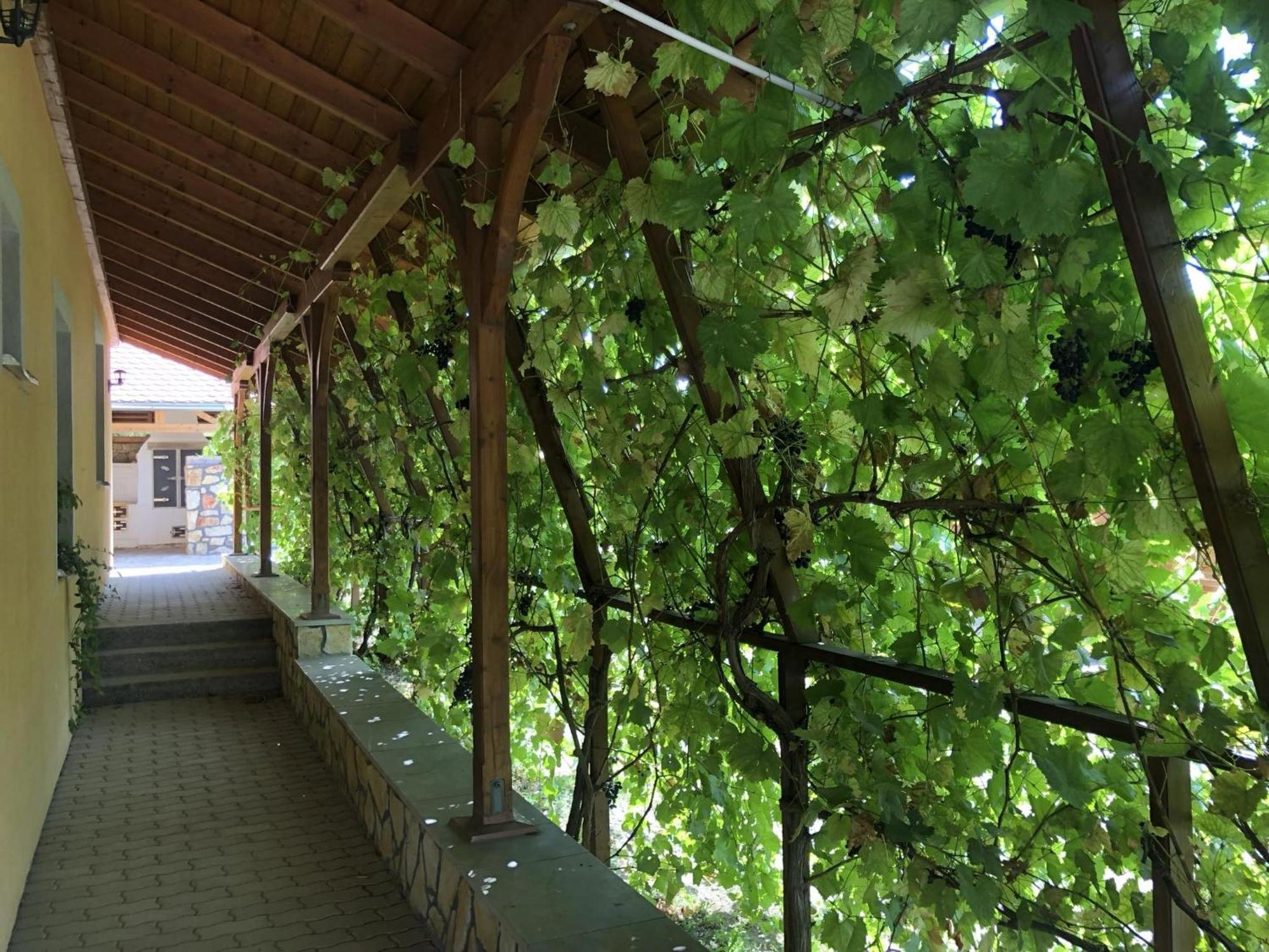 Tiszafa Vendeghaz Szentgal Hotel Exterior photo